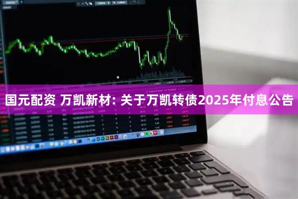 国元配资 万凯新材: 关于万凯转债2025年付息公告