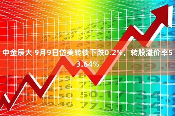 中金辰大 9月9日岱美转债下跌0.2%，转股溢价率53.64%